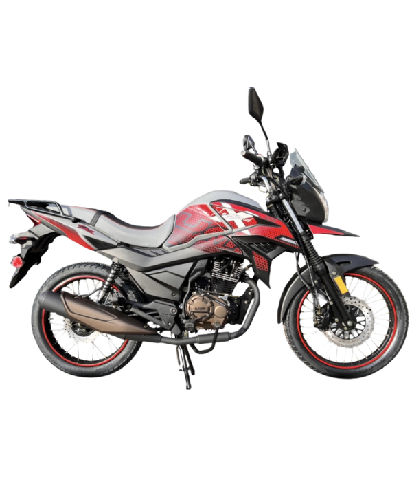 UM FASTWIND 150XR