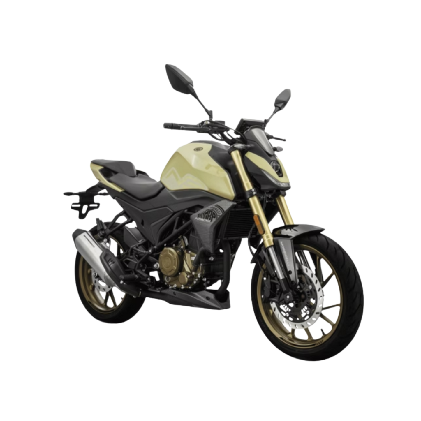 MORBIDELLI N300