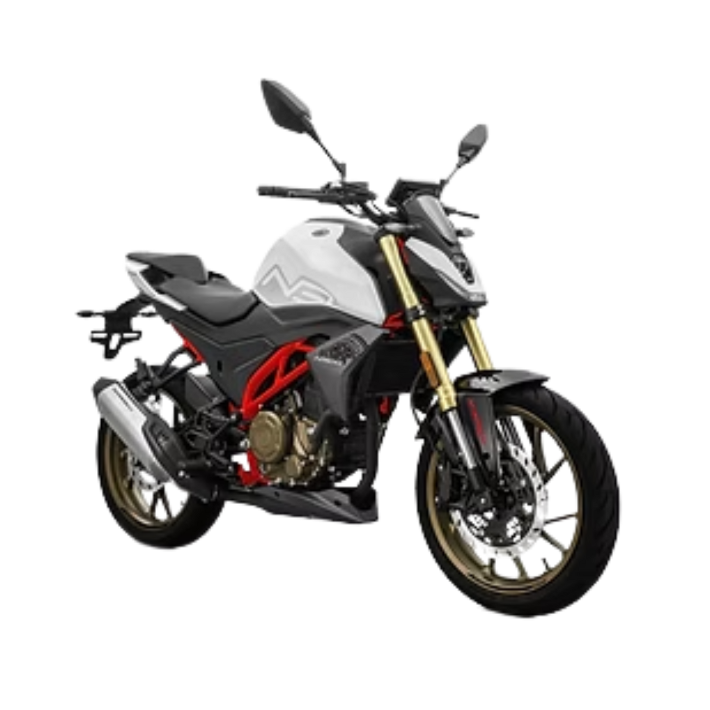 MORBIDELLI N300