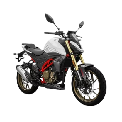 MORBIDELLI N300