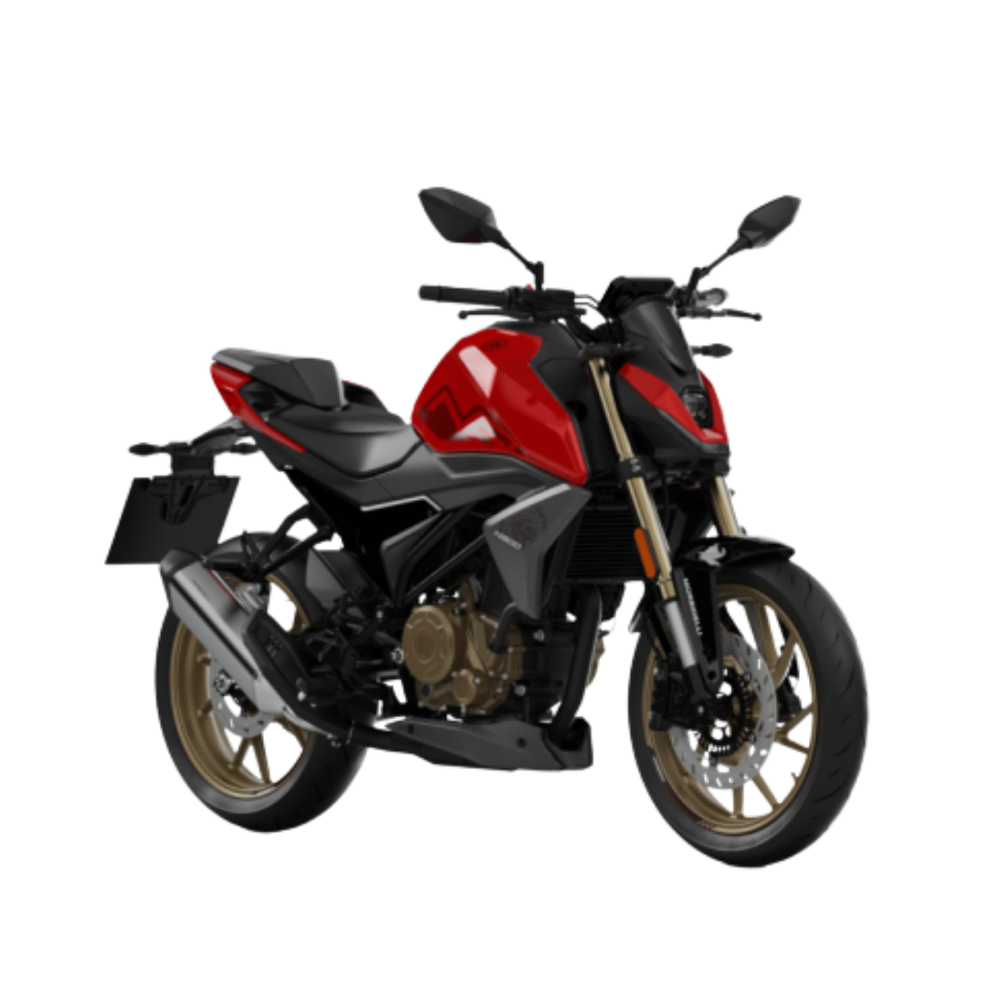 MORBIDELLI N300