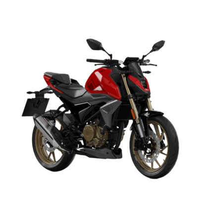 MORBIDELLI N300