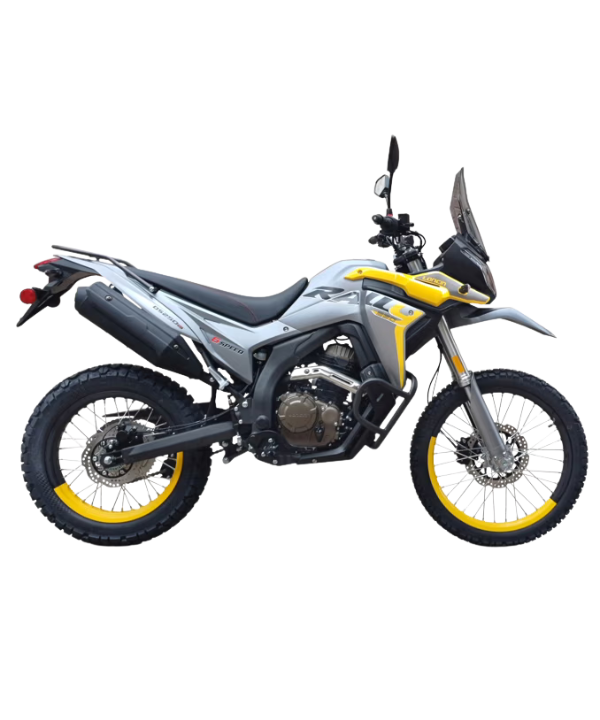 Loncin DS250