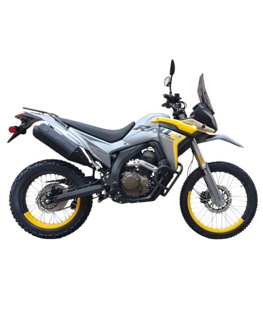 Loncin DS250