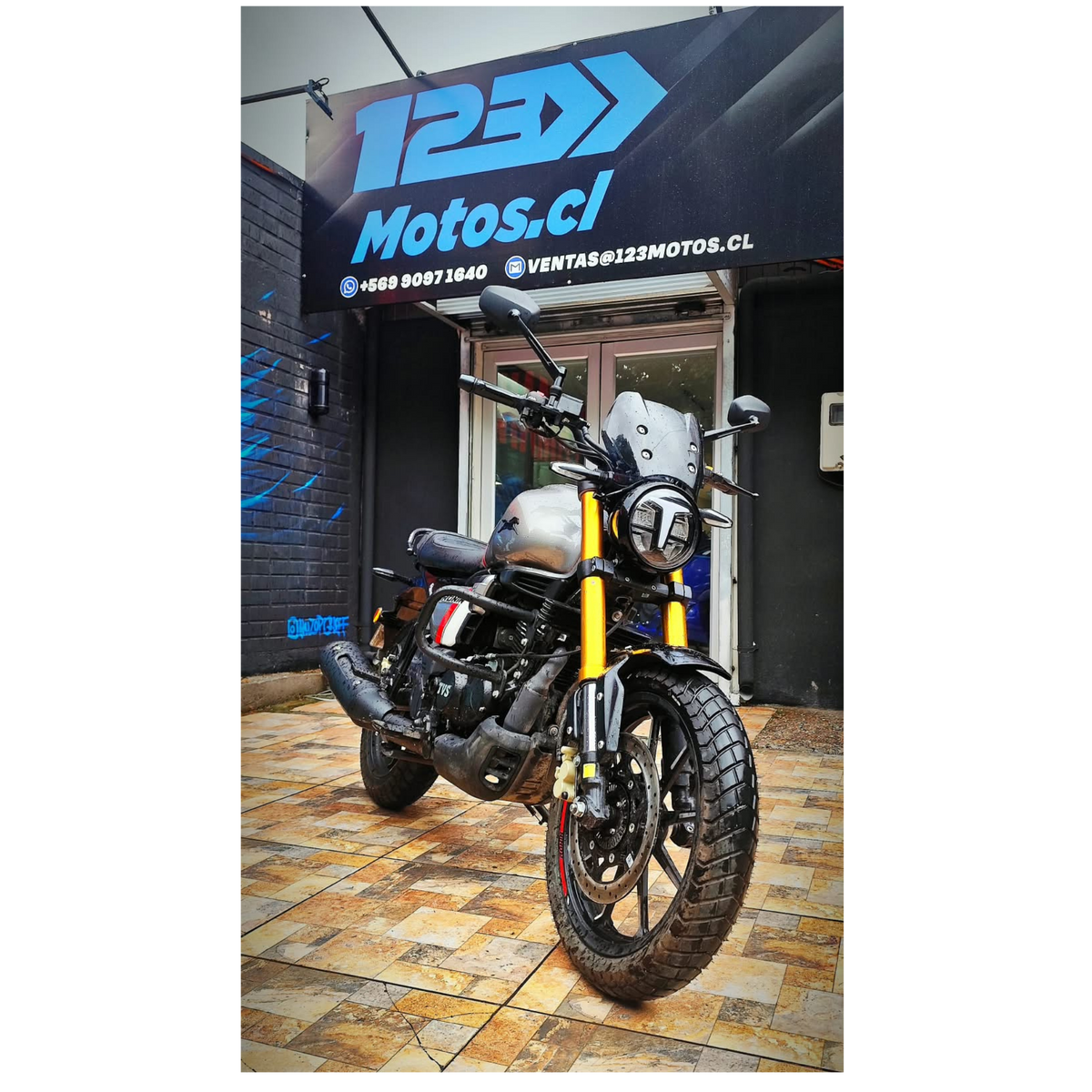 TVS RONIN 225 DIVISION USADOS