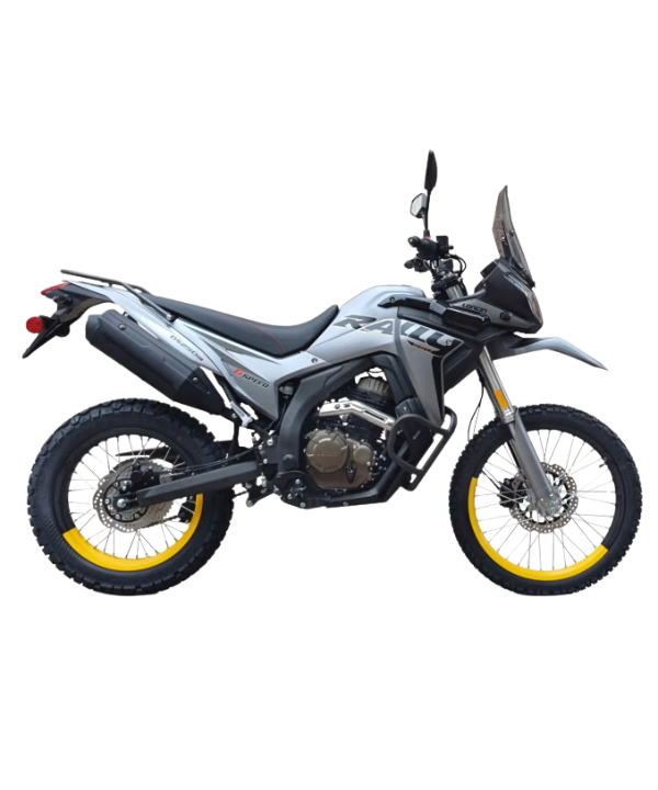 Loncin DS250
